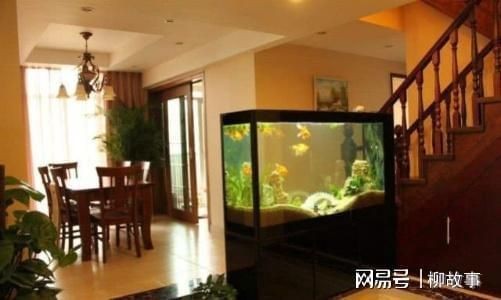 鎮平哪里有賣魚缸的地方呀電話多少（鎮平哪里有賣魚缸的地方呀電話多少啊）