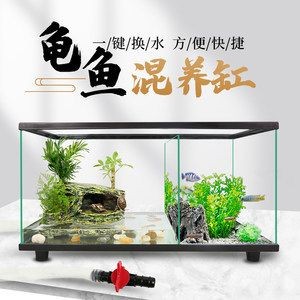 創(chuàng)意造景魚缸：創(chuàng)意造景魚缸是一種結(jié)合了藝術(shù)和科技的裝飾品