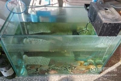 動森大魚缸：《動物森友會》動森diy家具與裝飾技巧除了魚缸外
