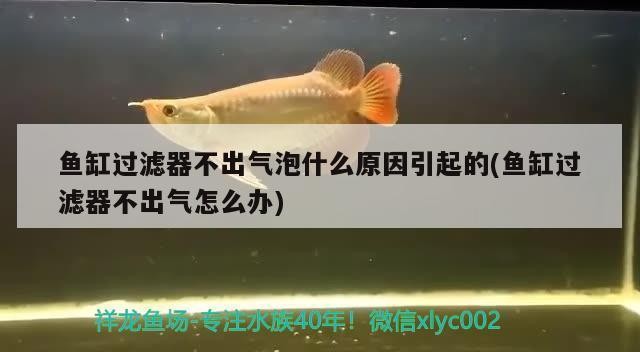 文峰區王曉喻易園水族館（文峰區王曉喻易園水族館地址）