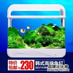 紅龍魚的價格是多少錢（紅龍魚的價格是多少錢一條） 紅龍魚的價格是多少錢（紅龍魚的價格是多少錢一條） 紅龍魚百科