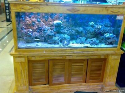 大型魚缸訂制：大型亞克力魚缸定制注意事項