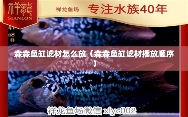 紅龍魚(yú)的養(yǎng)殖方法和技巧大全（紅龍魚(yú)的養(yǎng)殖方法和技巧大全視頻）
