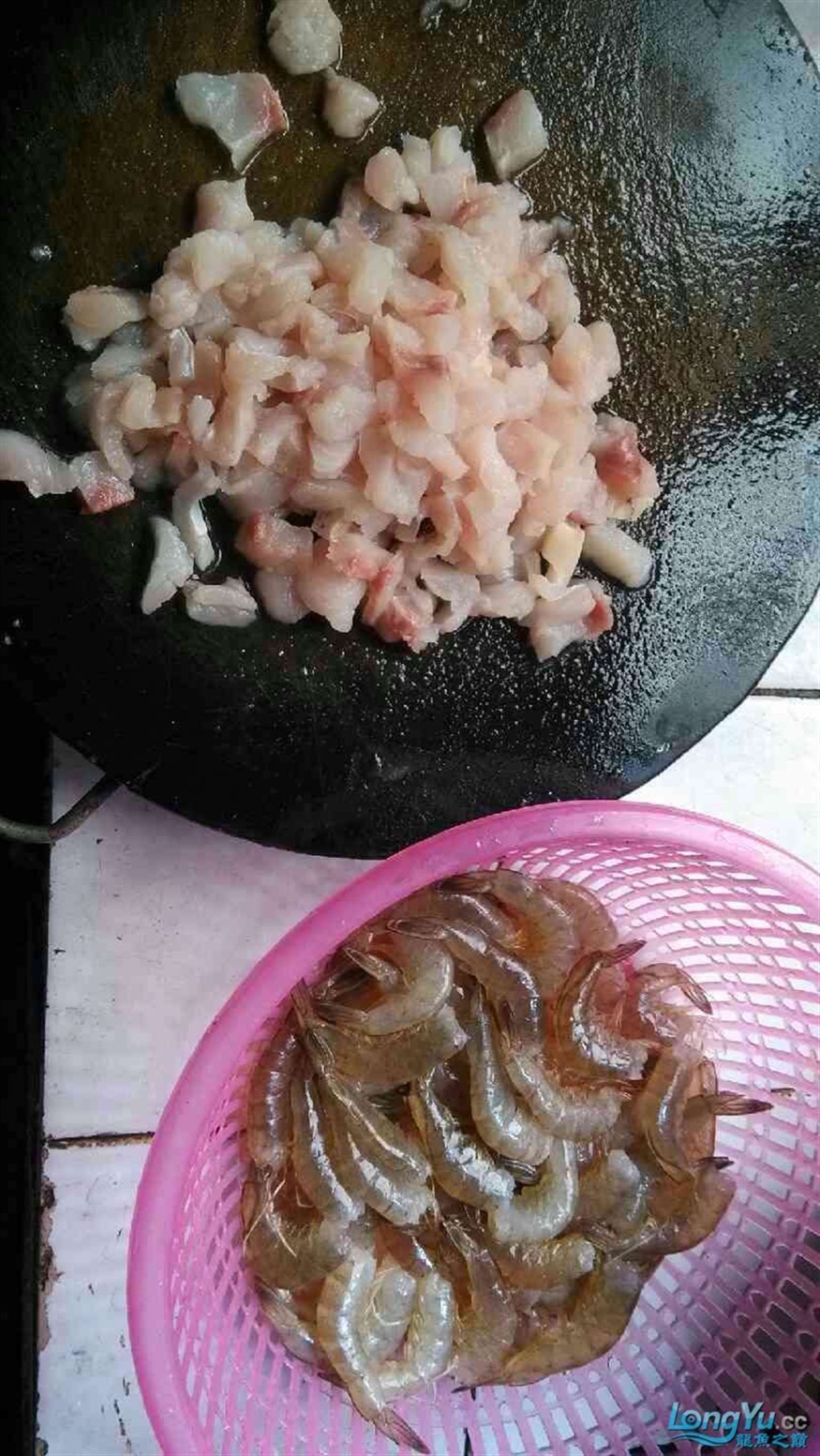 有人喂過龍虎這種魚肉么？