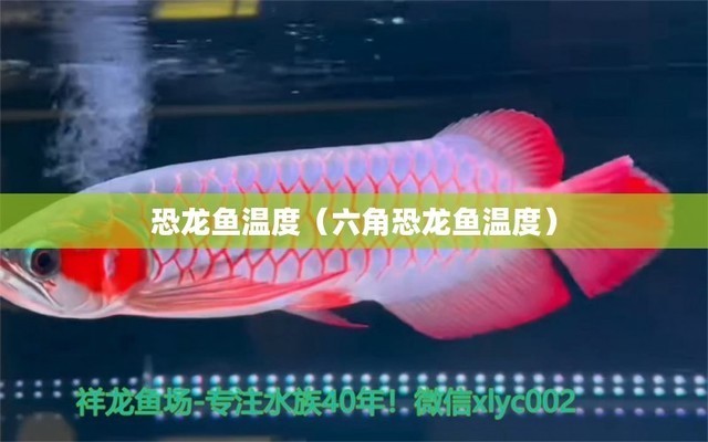 平遠縣紅運水族店（平遠縣紅運水族店電話）