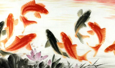 水溫36度龍魚會死嗎