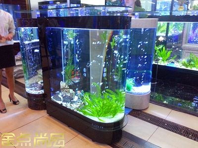 大型魚缸批發(fā)市場在哪里：北京西四魚批發(fā)市場（北京西四北大街）魚缸批發(fā)市場