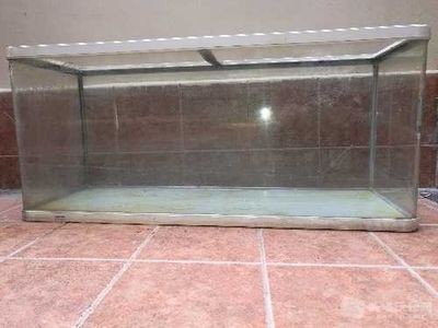 1.5米的魚缸用12厚的玻璃夠用嗎：1.5米的魚缸用12毫米厚的玻璃夠用嗎？