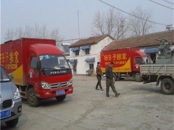 搬魚缸需要看日子么：魚缸搬運注意事項