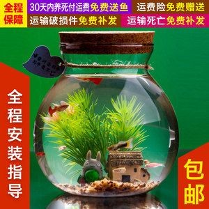 斗魚缸可以造景嗎：斗魚缸造景指南：如何選擇合適的造景材料在斗魚缸造景中