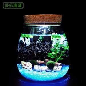斗魚缸可以造景嗎：斗魚缸造景指南：如何選擇合適的造景材料在斗魚缸造景中