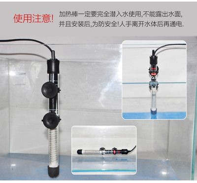 大型魚缸加熱棒加熱不開(kāi)循環(huán)泵可以嗎：使用魚缸加熱棒加熱大型魚缸時(shí)
