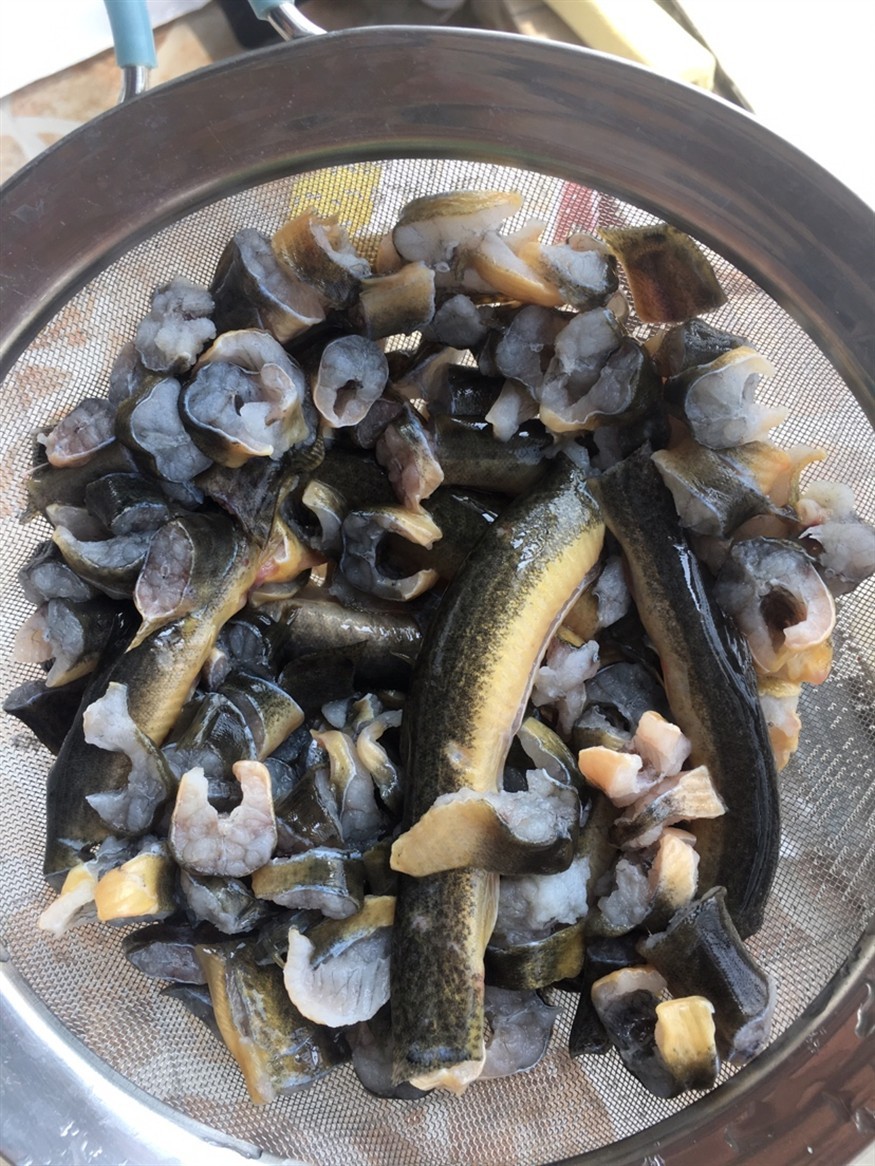 洗干凈喂這些挖煤的虎魚
