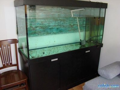 環翠區八角心清水族館（環翠區八角心清水族館電話）