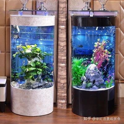 不用打理的魚缸怎么處理：不用打理的魚缸處理方法：你可以通過二手物品平臺售賣