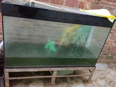 不用打理的魚缸怎么處理：不用打理的魚缸處理方法：你可以通過二手物品平臺售賣