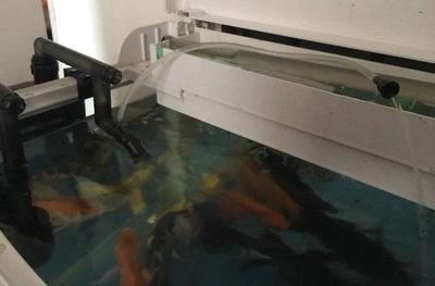 煙臺經濟技術開發(fā)區(qū)東海水族館（煙臺經濟技術開發(fā)區(qū)東海水族館地址）