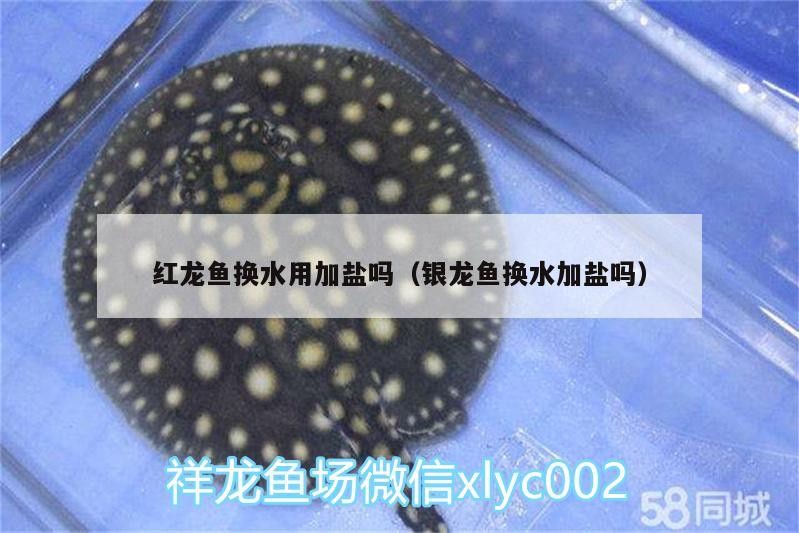 紅龍魚換水用加鹽嗎（銀龍魚換水加鹽嗎）