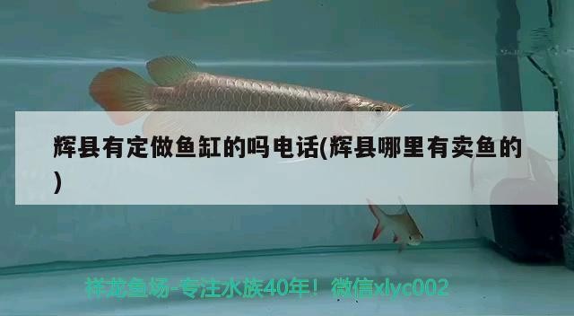 輝縣有定做魚缸的嗎電話(輝縣哪里有賣魚的)