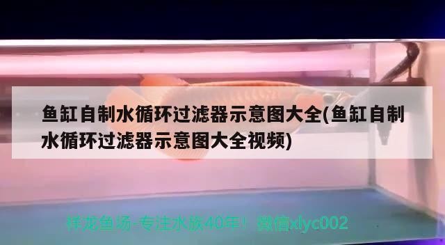 魚(yú)缸自制水循環(huán)過(guò)濾器示意圖大全(魚(yú)缸自制水循環(huán)過(guò)濾器示意圖大全視頻)