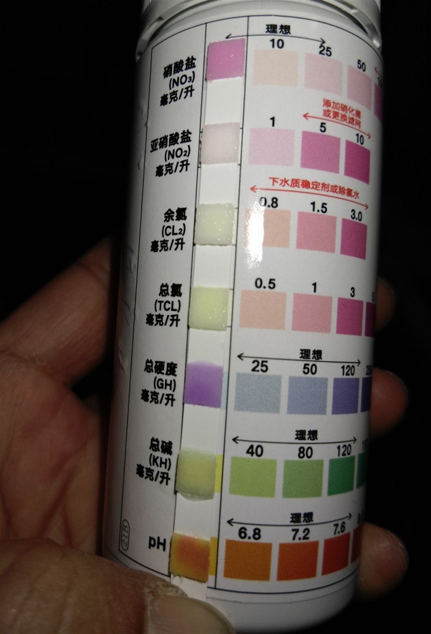 給位前輩給小弟看看魚(yú)缸硝酸鹽和硬度偏高要緊嗎？龍魚(yú)虎魚(yú)吃食都正常