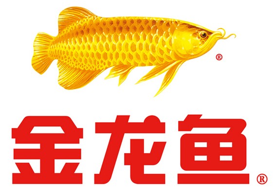 紅龍魚上色用多少色溫的燈光好（紅龍魚上色用多少色溫的燈光好呢）