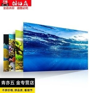 動(dòng)森魚缸大小：《動(dòng)物之森》如何選擇合適的魚缸大小