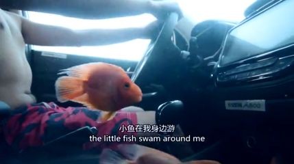 大魚缸會漏水嗎：大魚缸漏水怎么辦