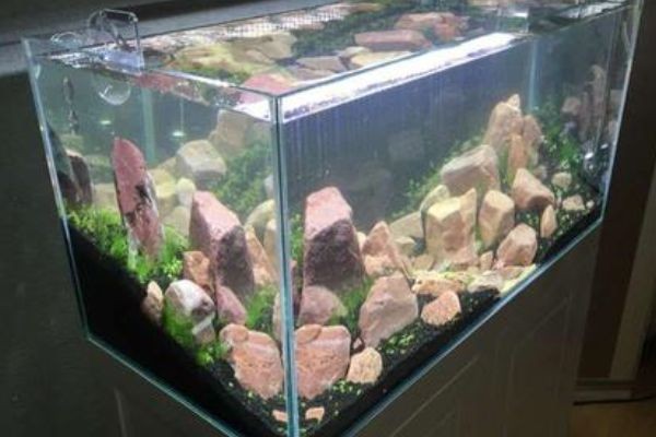 1米0.450.8的魚缸裝多少升水：1米