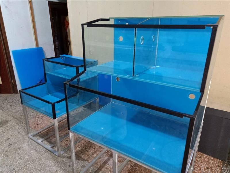 玻璃魚缸加工視頻：如何使用玻璃和工具來制作魚缸的視頻