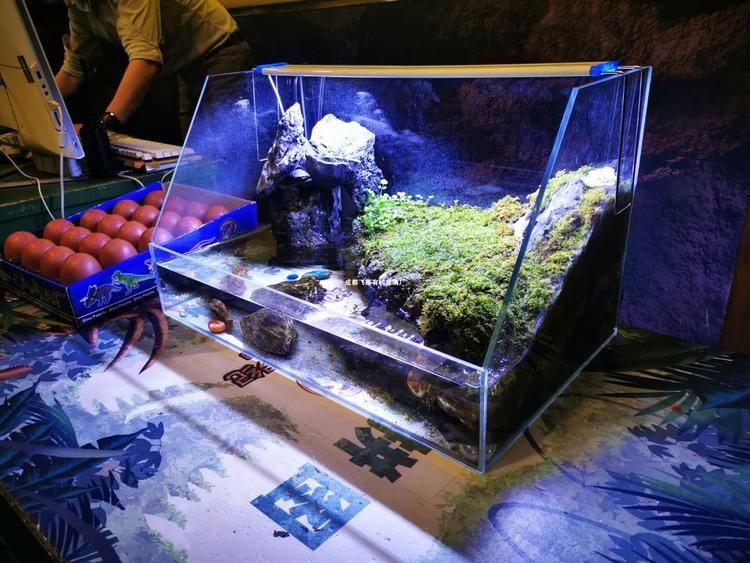 大型景觀魚缸制造過程：大型景觀魚缸制作過程
