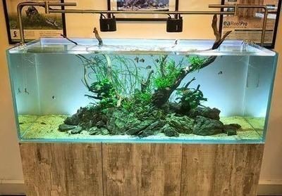 大型景觀魚缸制造過程：大型景觀魚缸制作過程