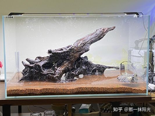 南通開發區可麗愛水族館（南通開發區可麗愛水族館電話）