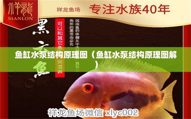 輝縣市麗輝魚棲生態(tài)水族館（輝縣市麗輝魚棲生態(tài)水族館電話）