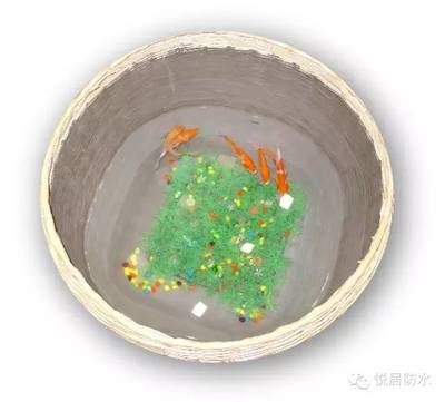 玻璃魚缸底部裂開了怎么辦視頻：如何修補(bǔ)破裂的魚缸底部