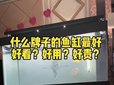 龍魚缸哪個牌子性價比高，龍魚缸哪個品牌性價比高，探索性價比最高的魚缸品牌 龍魚缸哪個牌子性價比高，龍魚缸哪個品牌性價比高，探索性價比最高的魚缸品牌 魚缸百科 第3張