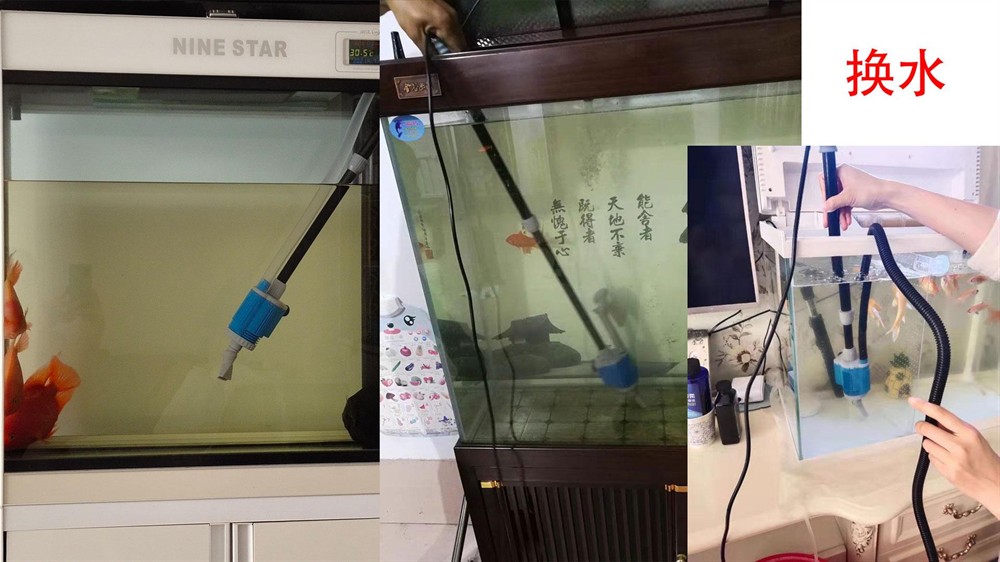 景泰縣生態源水族連鎖經營店（景泰縣生態源水族連鎖經營店電話）