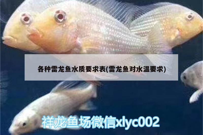 虎斑魚怎么樣(虎斑魚觀賞魚)
