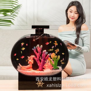 興義市怡婷水族批發(fā)部（興義市怡婷水族批發(fā)部地址）