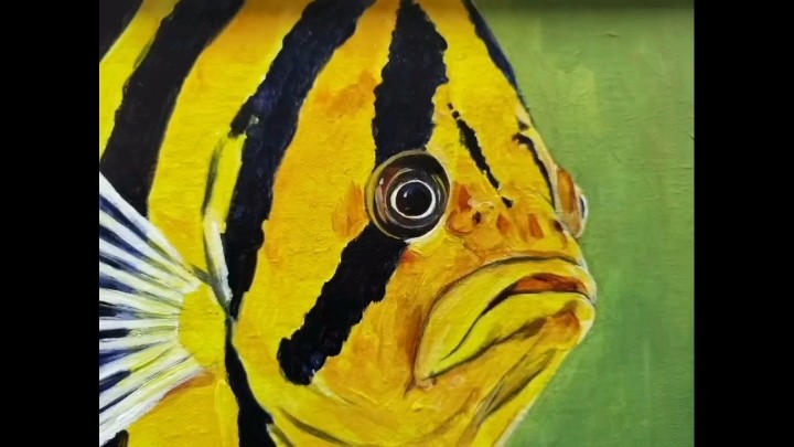 泰國虎魚適合掛魚缸上方的小畫