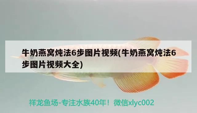 泰國虎魚適合掛魚缸上方的小畫