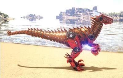 龍魚怎么馴服的