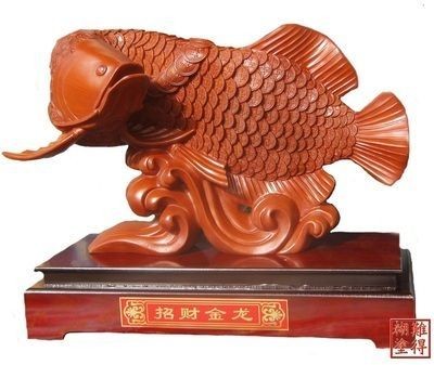 招財魚 龍魚