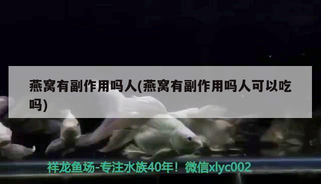 幫忙看一下這個虎魚怎么回事呀