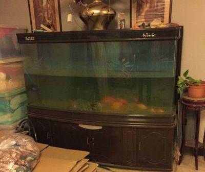 搬家魚缸提前搬可以嗎吉利嗎：搬家魚缸搬運(yùn)注意事項(xiàng)