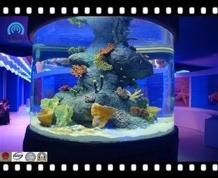 大型亞克力魚缸造景注意事項有哪些：大型亞克力魚缸造景的基本步驟