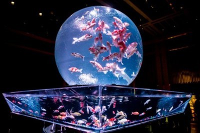萊蕪市鋼城區(qū)森森水族館(萊蕪市鋼城區(qū)森森水族館電話) 全國水族館企業(yè)名錄 第1張 萊蕪市鋼城區(qū)森森水族館(萊蕪市鋼城區(qū)森森水族館電話) 萊蕪市鋼城區(qū)森森水族館(萊蕪市鋼城區(qū)森森水族館電話) 全國水族館企業(yè)名錄 第1張