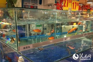 濟源市北海森美水族館（濟源市北海森美水族館電話）