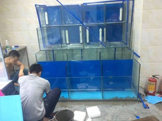尉氏縣城關鎮麗麗水族館(尉氏縣城關鎮麗麗水族館電話) 全國水族館企業名錄 第1張 尉氏縣城關鎮麗麗水族館(尉氏縣城關鎮麗麗水族館電話) 尉氏縣城關鎮麗麗水族館(尉氏縣城關鎮麗麗水族館電話) 全國水族館企業名錄 第1張