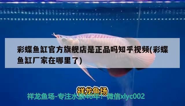 平度市六旺人家水族館（平度市六旺人家水族館電話）